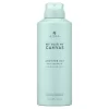 Alterna My Hair My Canvas Another Day Dry Shampoo 5oz -Nursing beauty store 65887