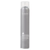 Alter Ego Italy Hasty Too Instant Cleanse Dry Refreshing Hairspray 8oz
