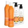 Loma Daily Duo + Citrus Set 4piece 2 Loma Daily Duo + Citrus Set 4piece -Nursing beauty store 71263